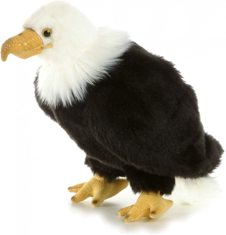 large stuffed eagle