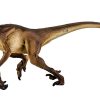 Safari- Velociraptor