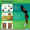 Nature Smarts Workbook- Ages 4 to 6 - Image 2