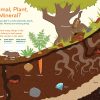 Nature Smarts Workbook- Ages 4 to 6 - Image 3