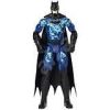 Batman 12 inch Action Figure assortment - Image 4
