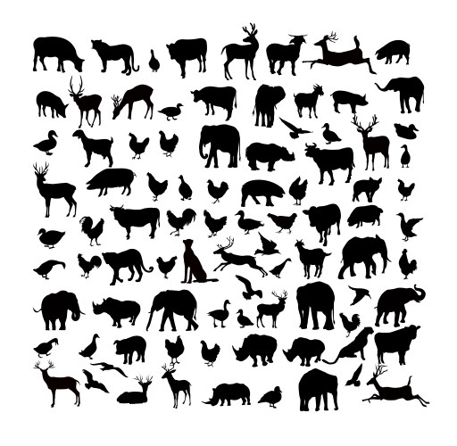 Safari- Toobs